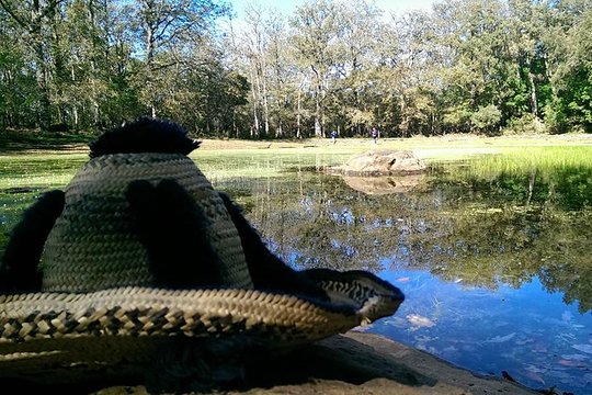 Tour image 3