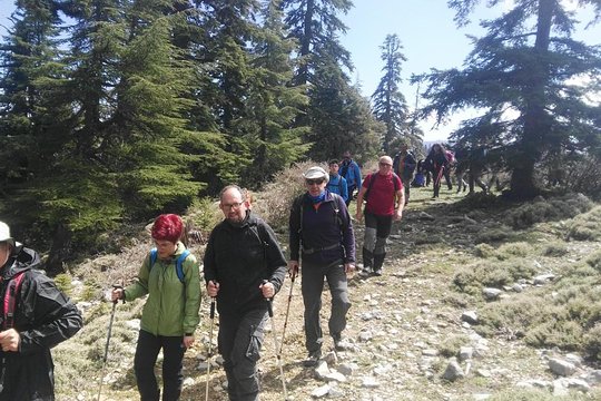 Tour image 5