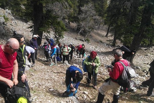 Tour image 6