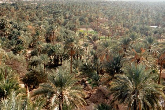 Tour image 8