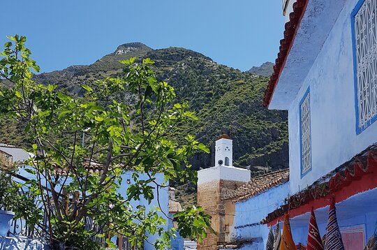 Tour image 8