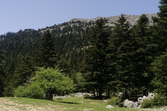 Tour image 4