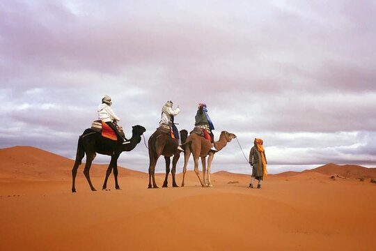 Tour image 11