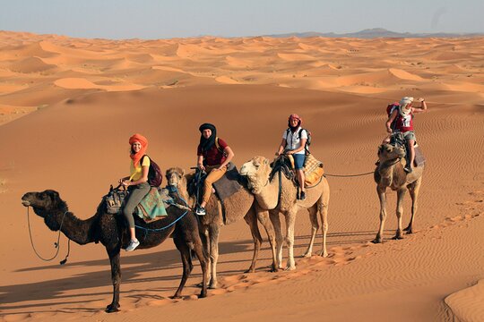 Tour image 12
